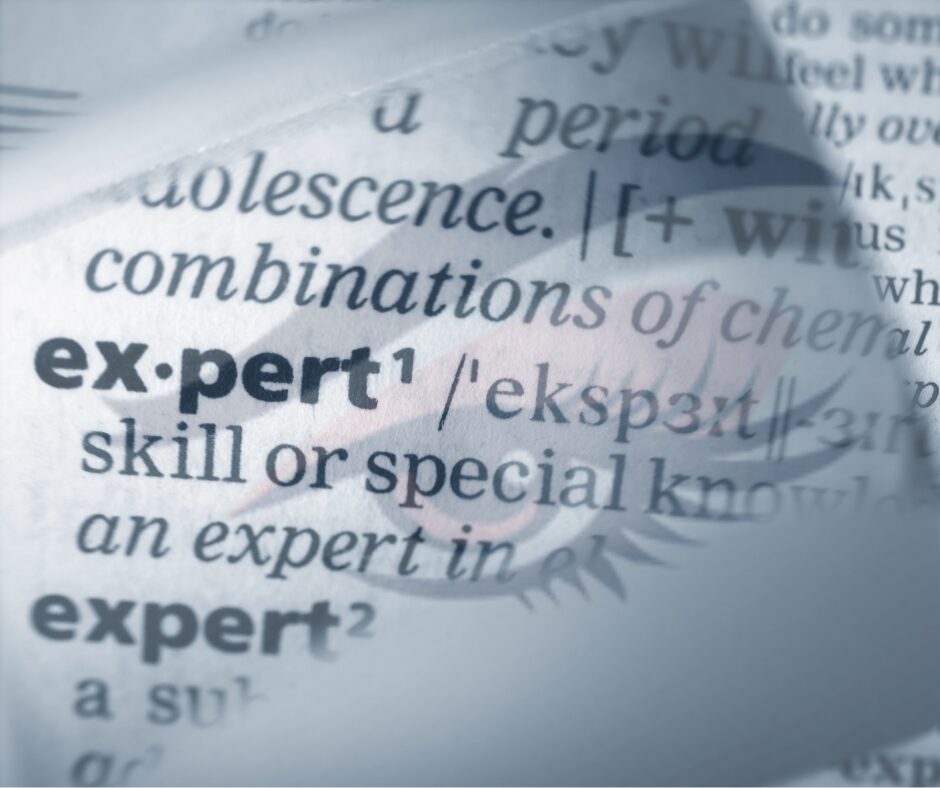 The Expert Carousel and the Illusion of Authority